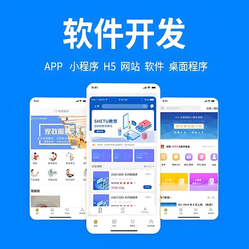 软件定制开发：让企业插上数字化翅膀
